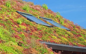 Limehouse living roof systems